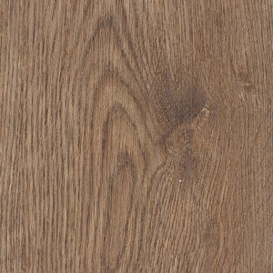 Tannery Oak